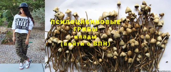 дурь Абинск