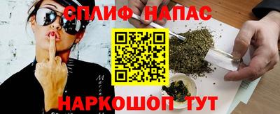 индика Пенза