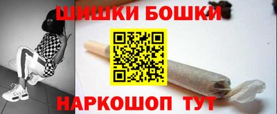 индика Пенза