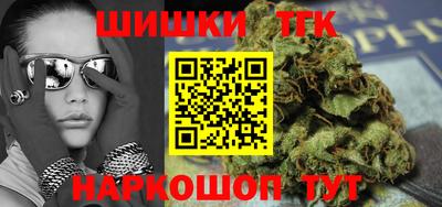 индика Пенза