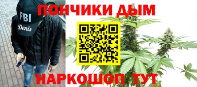 индика Пенза