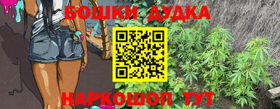 крисы Партизанск