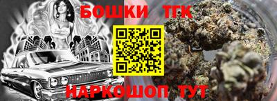 индика Пенза