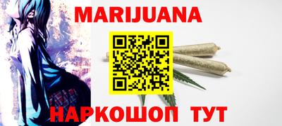 индика Пенза