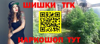 индика Пенза