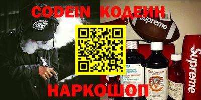 индика Пенза