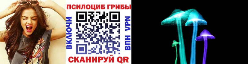 Галлюциногенные грибы Psilocybe  Сухой Лог 
