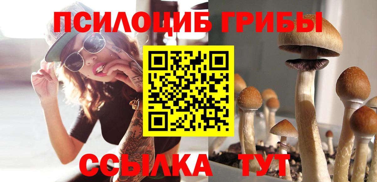 Сухой Лог  Псилоцибиновые грибы MAGIC MUSHROOMS  Галлюциногенные грибы Cubensis  Вход с VPN 