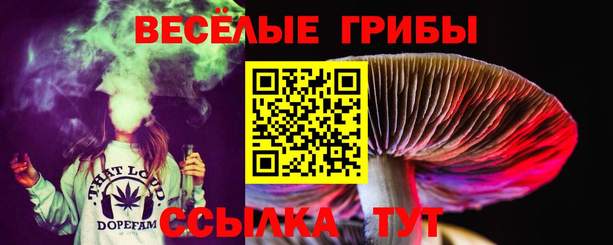 Псилоцибиновые грибы Magic Shrooms Сухой Лог