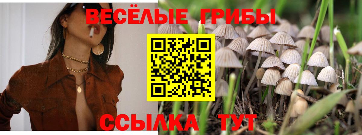 Cocaine Сухой Лог